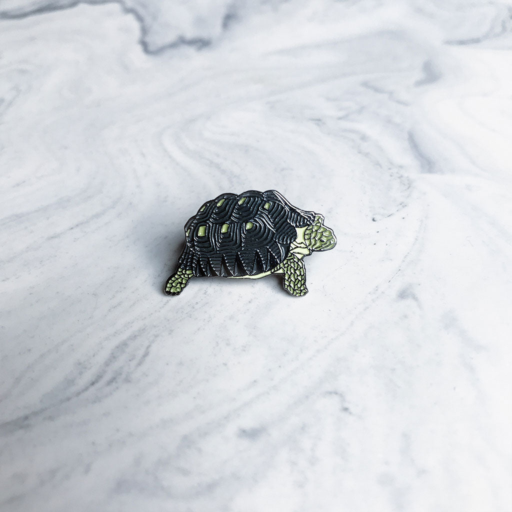 Tortoise Pin